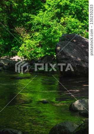 Beautiful fresh greenery and water in the valley 130250283