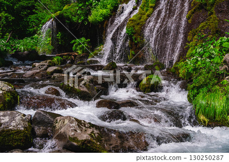 Toryu Falls in early summer, Hokuto City 130250287