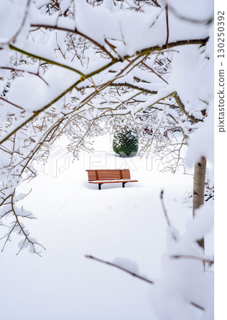 Snow-covered Park Bench Surrounded by Winter Trees in a Serene Landscape 130250392