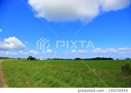 Yajiri Island Yajiri Island 130250450