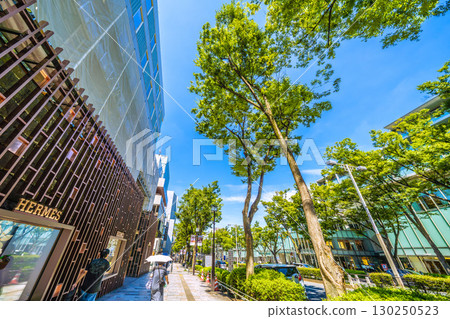 日本東京城市景觀，俯瞰東京表參道鬱鬱蔥蔥的綠色植物 130250523