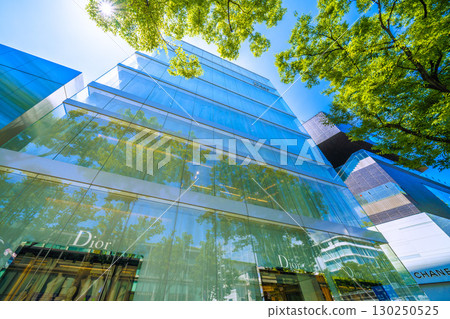 日本東京城市景觀,俯瞰東京表參道鬱鬱蔥蔥的綠色植物 日本東京城市景觀,俯瞰東京表參道鬱鬱蔥蔥的綠色植物 130250525