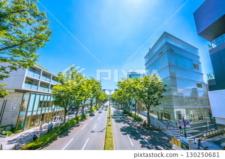 Tokyo cityscape in Japan: View of the lush greenery of Omotesando from Jingumae, Shibuya Ward, Tokyo 130250681