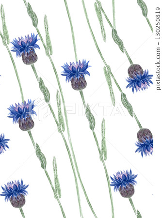 Knapweed on long green stems seamless watercolor pattern isolated on white. Hand-painted blue wildflowers in diagonal layout. Ideal for textiles, packaging, wallpaper, rustic-themed designs Knapweed on long green stems seamless watercolor pattern isolated on white. Hand-painted blue wildflowers in diagonal layout. Ideal for textiles, packaging, wallpaper, rustic-themed designs 130250819