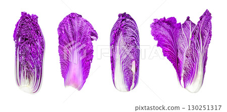 set of red Peking cabbage, isolated on white background set of red Peking cabbage, isolated on white background 130251317