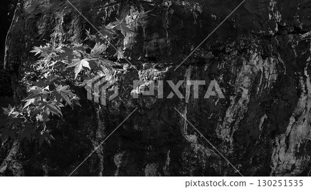 暗色調石材紋理背景 130251535
