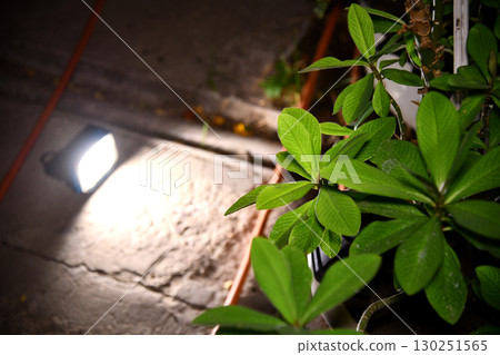 flashlight and light beam in dark mist room at night . abstract projector spotlight white lay flashlight and light beam in dark mist room at night . abstract projector spotlight white lay 130251565