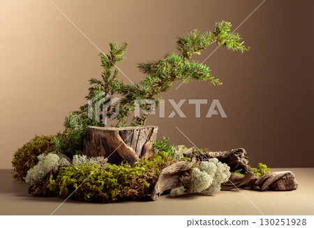 Composition with natural wood, moss and juniper branches. Composition with natural wood, moss and juniper branches. 130251928