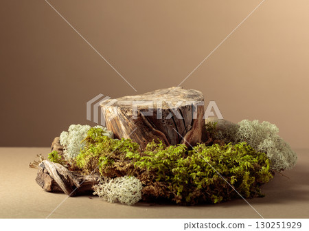 Composition with natural wooden snags and moss for advertising eco products. Composition with natural wooden snags and moss for advertising eco products. 130251929