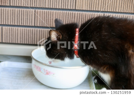 三色貓飲用水 三色貓飲用水 130251959