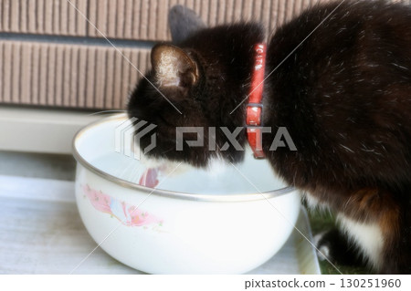 三色貓飲用水 三色貓飲用水 130251960