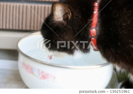 三色貓飲用水 130251961