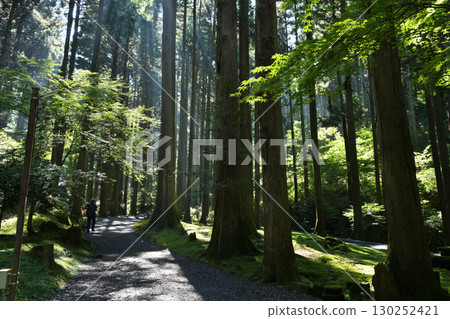 大岩神社的方法 130252421