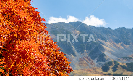 秋葉和山 130253145