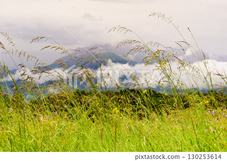 Summer meadow and mountains on horizon. L'Obiou in Alps, France. Summer meadow and mountains on horizon. L'Obiou in Alps, France. 130253614
