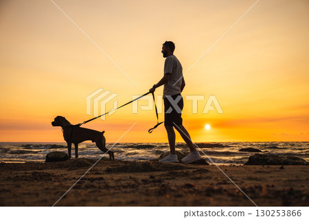 Man walking with a German Boxer dog on a leash along the beach during sunset, silhouette view against the colorful evening sky and ocean waves. 130253866