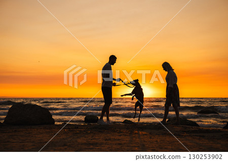 Man and woman playing with their German Boxer dog on the beach at sunset, with the dog jumping excitedly near the shoreline. Man and woman playing with their German Boxer dog on the beach at sunset, with the dog jumping excitedly near the shoreline. 130253902