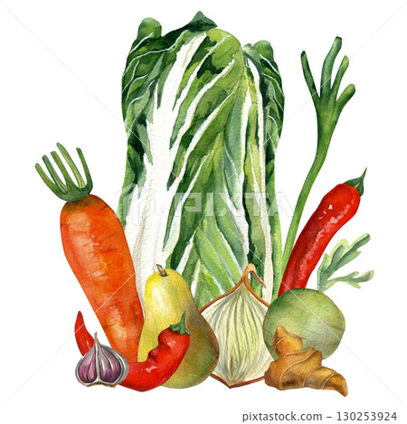 Watercolor composition of vegetables for kimchi - Chinese cabbage, onion, ginger, carrot, daikon and pepper. For kimchi party design, recipes and cards 130253924
