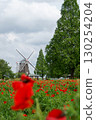 Scenery with windmill 130254204