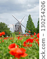 Landscape with poppies and windmills 130254206