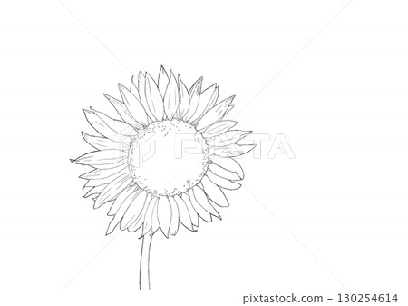 Sunflowers (coloring book) Sunflowers (coloring book) 130254614