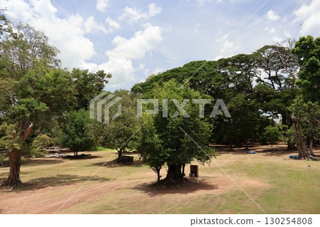 泰國公園風景,白雲、藍天、綠樹 泰國公園風景,白雲、藍天、綠樹 130254808