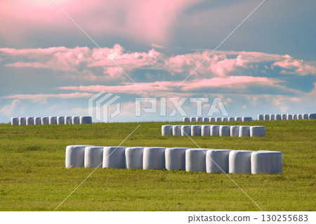 Hay clean and covered with safety film (vacuum packing) 130255683