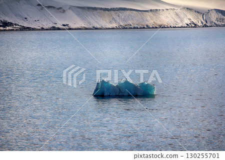 Arctic Islands Glaciers, snowfields, iceberg and rock outcrops 130255701
