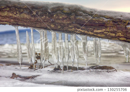 frozen coast sea in winter 130255706