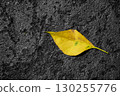 Yellow leaves fall on the stone floor. 130255776