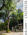 Munakata Shrine's sacred tree, camphor, one of Tottori's top 100 famous trees, Munakata, Yonago City, Tottori Prefecture 130256236