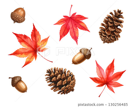 秋葉、橡實、松果水彩插圖 秋葉、橡實、松果水彩插圖 130256485