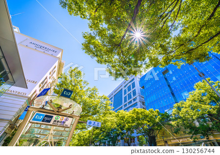 Tokyo cityscape in Japan. View of the lush greenery of Omotesando in Tokyo and the A2 exit of Omotesando Station. Armani on the right. 130256744