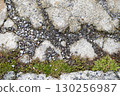 Concrete ground 130256987