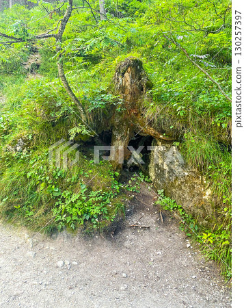 Old wooden trunk against a green background Old wooden trunk against a green background 130257397