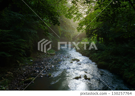 Taishaku Gorge bathed in the morning sun, Jinseki District, Hiroshima Prefecture 130257764