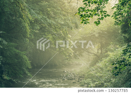 Taishaku Gorge bathed in the morning sun, Jinseki District, Hiroshima Prefecture Taishaku Gorge bathed in the morning sun, Jinseki District, Hiroshima Prefecture 130257785