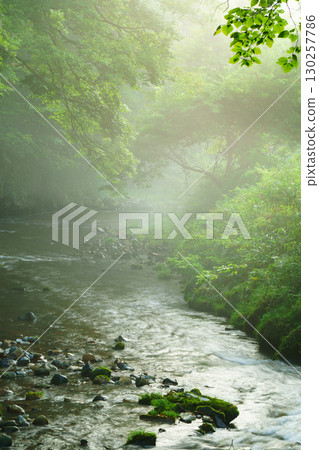 Taishaku Gorge bathed in the morning sun, Jinseki District, Hiroshima Prefecture Taishaku Gorge bathed in the morning sun, Jinseki District, Hiroshima Prefecture 130257786