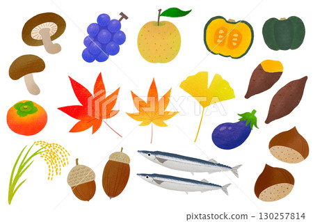 Autumn ingredients, autumn flavors and nature, hand-drawn style 130257814