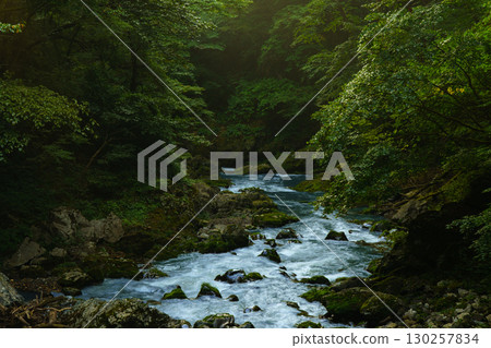 Taishaku Gorge bathed in the morning sun, Jinseki District, Hiroshima Prefecture 130257834