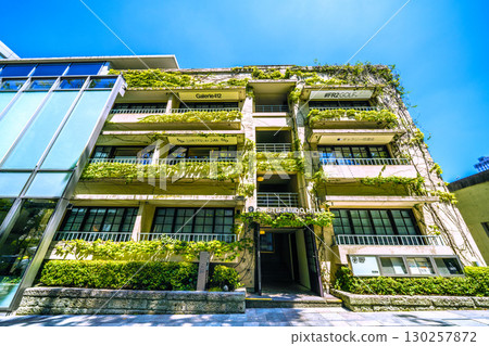 日本東京城市景觀：綠樹環繞…可欣賞表參道山、同潤館等景色。 130257872