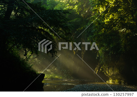 Taishaku Gorge bathed in the morning sun, Jinseki District, Hiroshima Prefecture 130257997