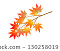 Autumn colorful maple branches 130258019