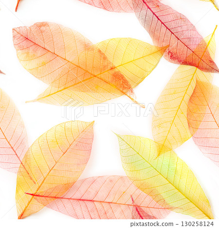 Autumn leaves seamless pattern. Skeleton leaves repeat print. Fall background 130258124
