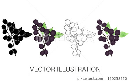 Grape Bunch Vector Illustration Set: Color, Line Art, Flat, and Coloring Grape Bunch Vector Illustration Set: Color, Line Art, Flat, and Coloring 130258350