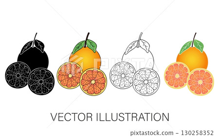 Grapefruit Vector Illustration Set: Whole, Half, and Quarter Sliced 130258352