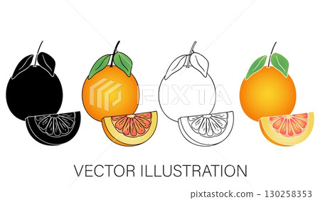 Grapefruit Vector Illustration Set: Whole, Sliced, and Line Art 130258353