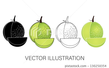 Honeydew Melon Vector Illustration Set: Half and Wedge with Varying Styles Honeydew Melon Vector Illustration Set: Half and Wedge with Varying Styles 130258354