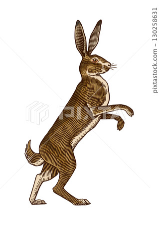 Hare or rabbit standing on feet. ready to fight symbol of ecology. Wild animal in old ink tradition Hare or rabbit standing on feet. ready to fight symbol of ecology. Wild animal in old ink tradition 130258631