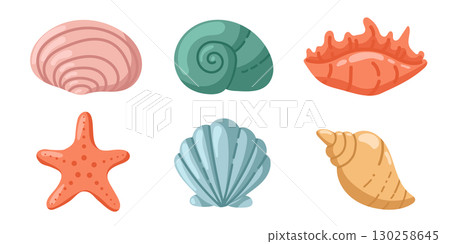Set of seashells and starfish. Various seashells: Florida snails, scallops, cockles, mussels, cowries. Various tropical mollusks, shells, snails. 130258645